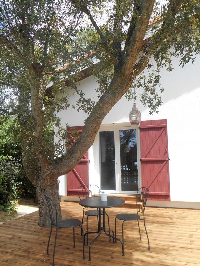 Maysoe Chambres D'Hotes Vieux-Boucau-les-Bains Exteriér fotografie