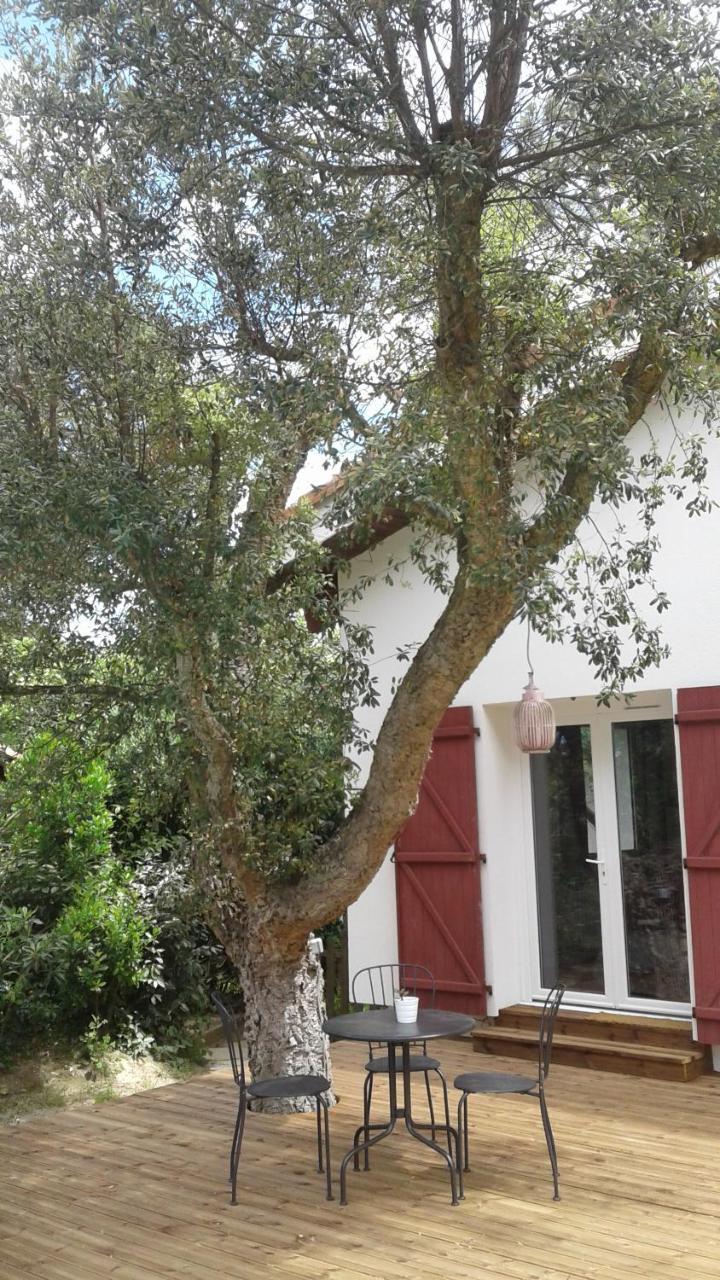 Maysoe Chambres D'Hotes Vieux-Boucau-les-Bains Exteriér fotografie
